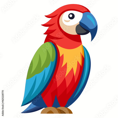 parrot on a white background