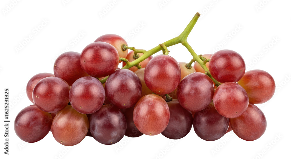Fototapeta premium Isolated Bunch of Red Grapes