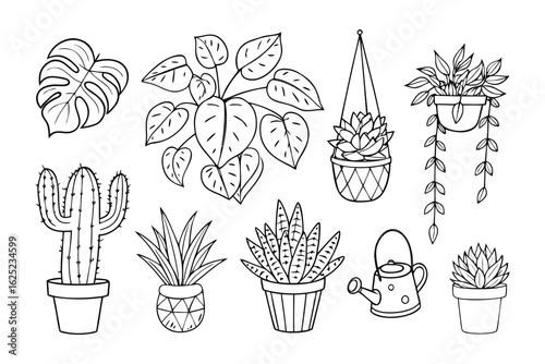 Botanical Sketch: A collection of meticulously sketched potted plants, including cacti, succulents, and leafy varieties, showcasing botanical beauty, ready for coloring or creative designs.