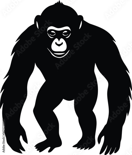  endangered chimpanzee vector illustration