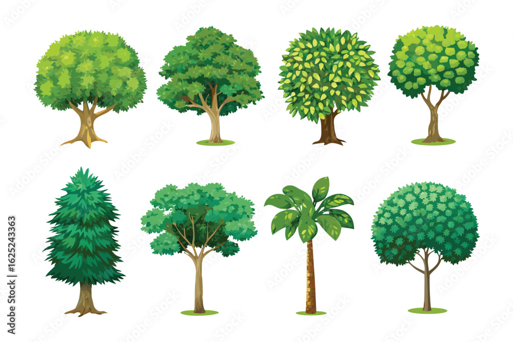 Fototapeta premium Variety of Trees: Showcasing a diverse collection of trees, each with unique leaf structures and forms. A visual guide for nature lovers.