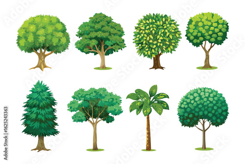 Variety of Trees: Showcasing a diverse collection of trees, each with unique leaf structures and forms. A visual guide for nature lovers.