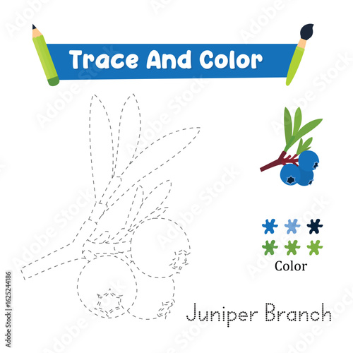 Trace And Color Juniper Branch Food. Vector illustration