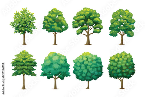 Diverse Tree Collection: A vibrant assortment of trees, each showcasing unique foliage and branch structures, provides a detailed illustration of various arboreal forms.