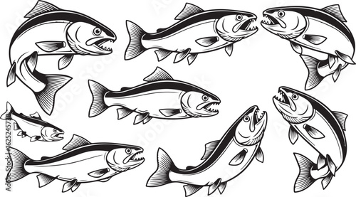 Dynamic Black and White Illustrations of Salmon in Action fish fishing