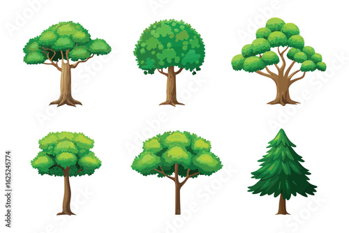 Diverse Tree Collection: A collection of illustrative trees, from towering conifers to leafy deciduous varieties, showcases the diverse beauty and forms found in nature.
