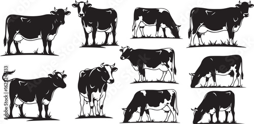 Set of Black Silhouette Cows in Various Poses and Grazing cattle animal