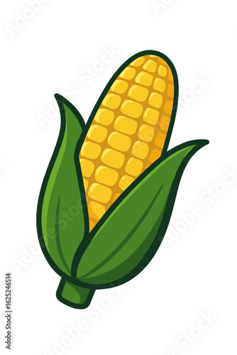Golden Fresh Corn Cob with Green Husk - Sweet Summer Vegetable