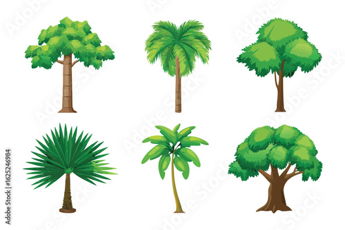 Botanical Illustration: A diverse array of meticulously crafted illustrations showcases the elegance of trees, highlighting their unique leaf forms and trunk designs.