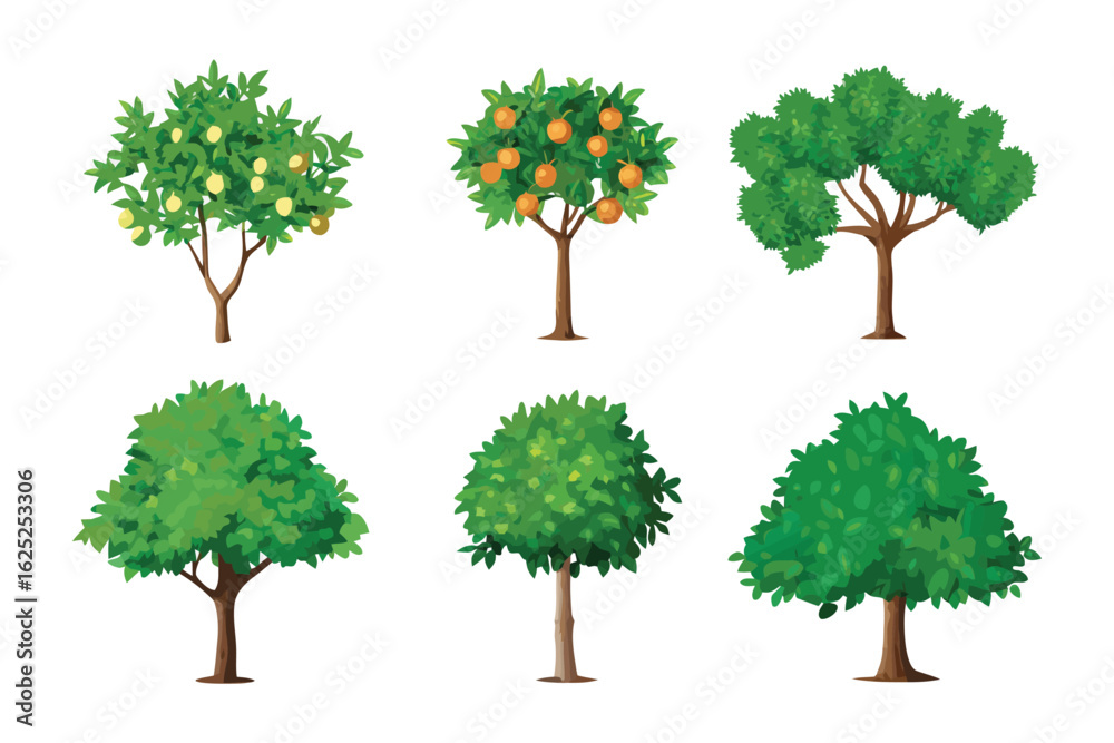 Fototapeta premium Diverse Tree Collection: A delightful array of trees showcases various shapes and foliage types in a vibrant artistic presentation. 