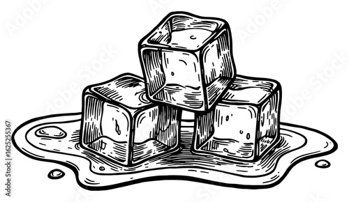 Three Ice Cubes Melting into a Water Puddle Black and White Outline Line Art Drawing Engraving