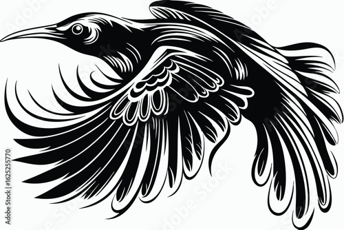 Black bird soars powerfully through the open air with expansive wings spread wide