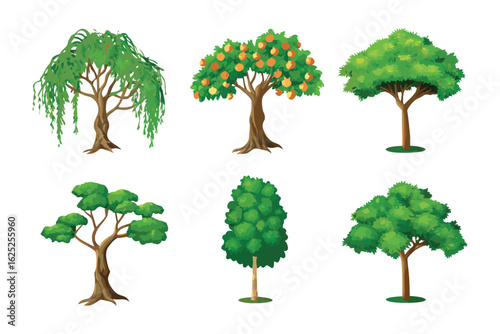 Variety of Trees: Diverse illustrations of various tree species, showcasing a vibrant array of foliage and textures, perfect for educational purposes or design elements.