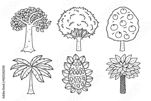 Variety of Trees: An illustrated compilation showcases diverse tree specimens, perfect for educational purposes, emphasizing detail and natural diversity.