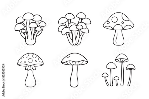 line art cluster of mushrooms growing together set bundle on the white background