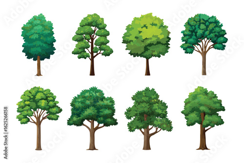 Various Trees Illustrations: A collection of diverse tree illustrations, each showcasing unique foliage and branching patterns, inviting viewers to explore the beauty of arboreal life.