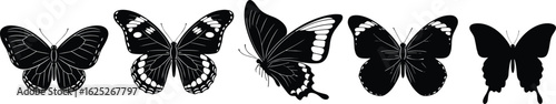 Butterfly silhouettes, black and white, detailed wing patterns, vector illustration, insect design, nature art, entomology graphic, isolated, elegant, symmetry