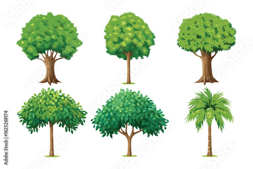 Greenery Varieties: A collection of diverse trees of various species stands with lush green foliage and sturdy trunks