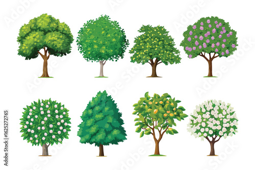 Diverse Collection of Trees: A vibrant illustration showcasing a variety of tree species, each with unique foliage and forms. Capturing the diversity and beauty of nature.