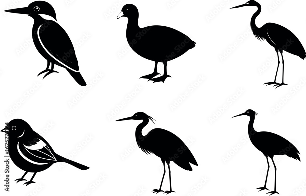 Fototapeta premium European wetland birds silhouette vector collection six unique species art