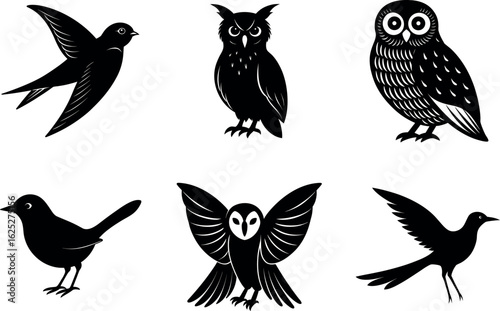 Wallpaper Mural European night bird silhouette vector set of six nocturnal species Torontodigital.ca