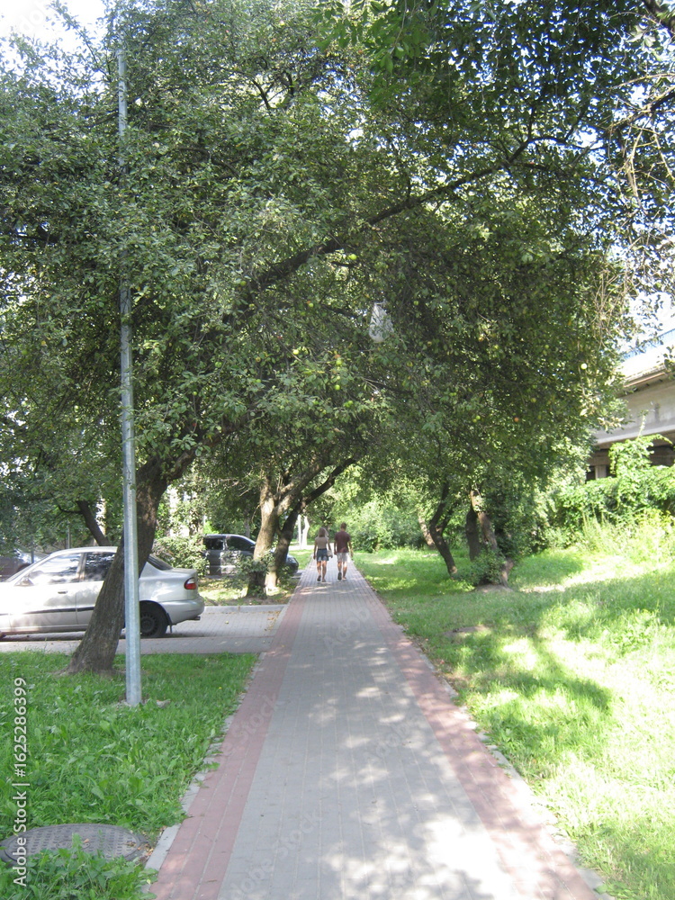 Obraz premium walk in the park