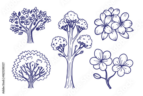 Botanical Sketches: Delicate botanical sketches featuring diverse trees and exquisite flowers. Each sketch captures intricate details and the charm of nature's delicate designs.