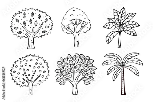 Diverse Tree Collection Illustration: A selection of unique trees, each meticulously rendered in detailed illustration. Evoking feelings of simplicity and nature's variety