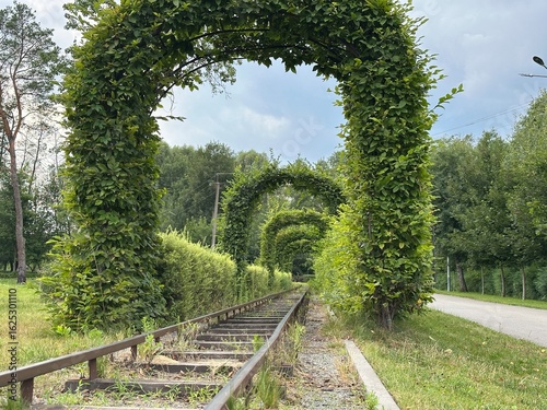 Green plant arch over small railway track – natural tunnel landscape