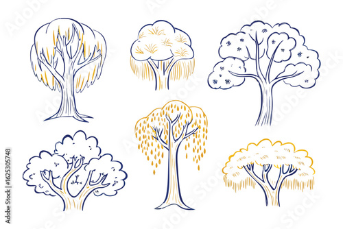 Botanical Sketches: An artistic composition of six unique tree illustrations showcases the diversity and beauty of nature's arboreal architecture.