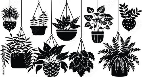 A charming black and white illustration showcasing a variety of hanging houseplants in decorative pots