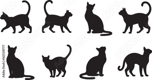 Set of eight black cat silhouettes. Vector graphic collection of felines in different postures, isolated on a white background for design.