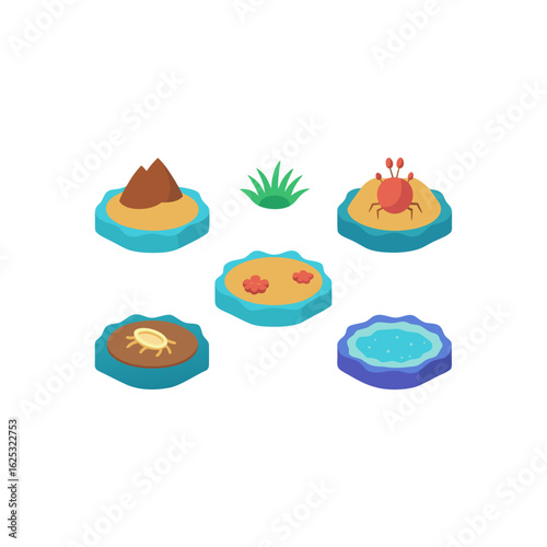 different tide pool diorama set  
