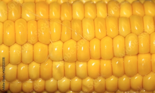 close up of corn