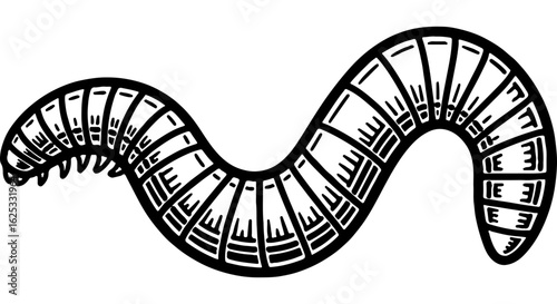 Stylized segmented worm illustration, black and white line art. Earthworm, millipede, centipede-like invertebrate graphic design.