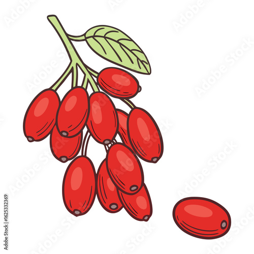 Red berries on branch with leaf and single berry fruit