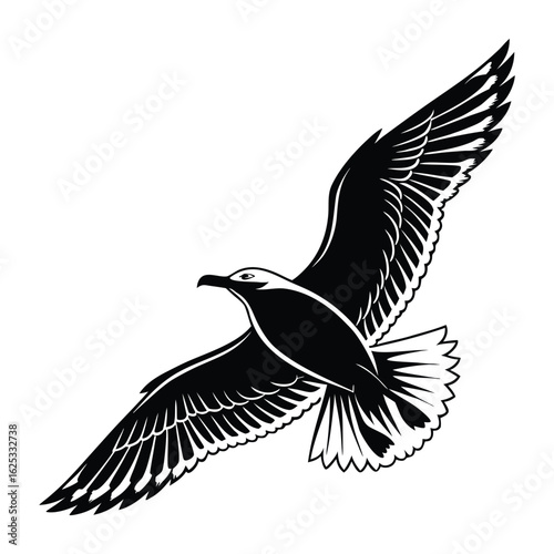 Black headed gull eagle and seagull flying in vector illustration style
