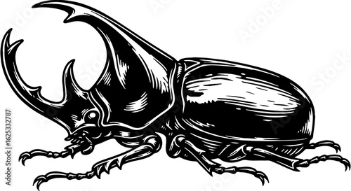 Striking black and white illustration of a powerful rhinoceros beetle, a strong insect known for its distinctive horns and unique appearance.