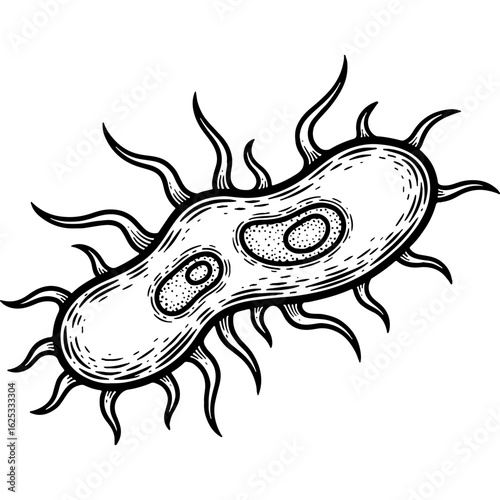 Vintage Engraved Microorganism Illustration. Detailed Black and White Bacterium or Germ for Medical, Biological, and Health Concepts