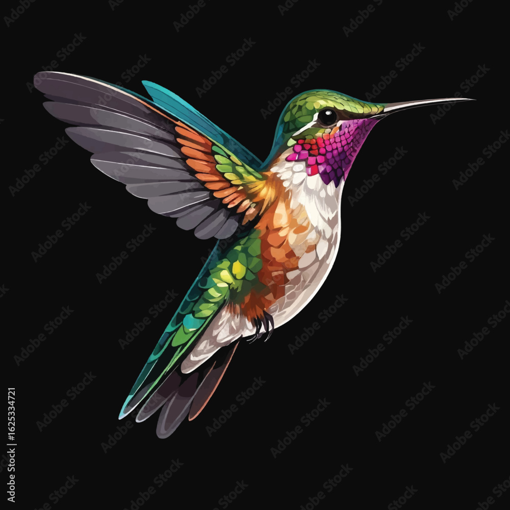 Obraz premium Hummingbird Vector Design