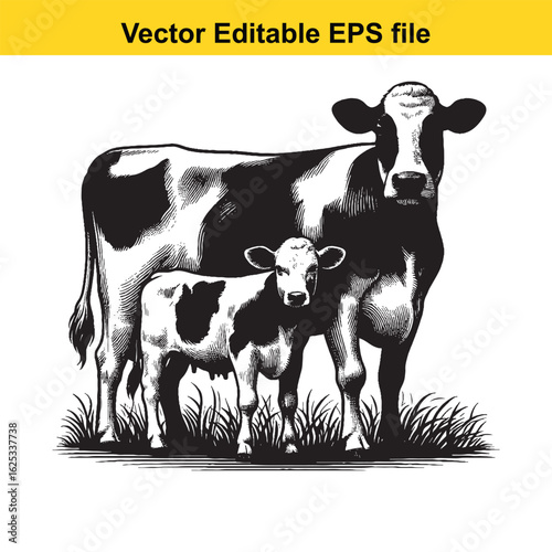 vector art of black and white cow and calf illustration