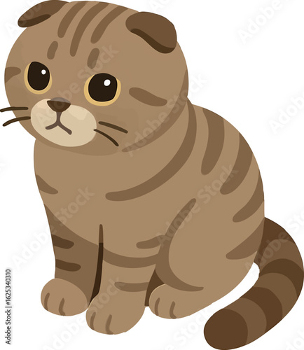 Isometric vector scottish fold sitting with folded ears and round face, vector-friendly, isolated on white