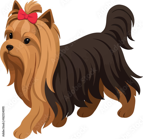 Isometric vector yorkshire terrier walking with long silky fur and bow, vector-friendly, isolated on white