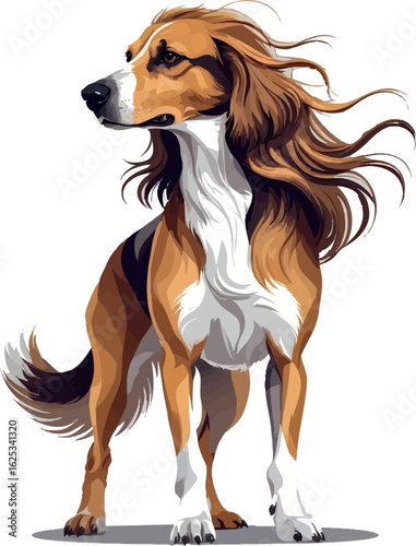 Isometric vector afghan hound with flowing hair, graceful standing pose, vector-friendly, isolated on white