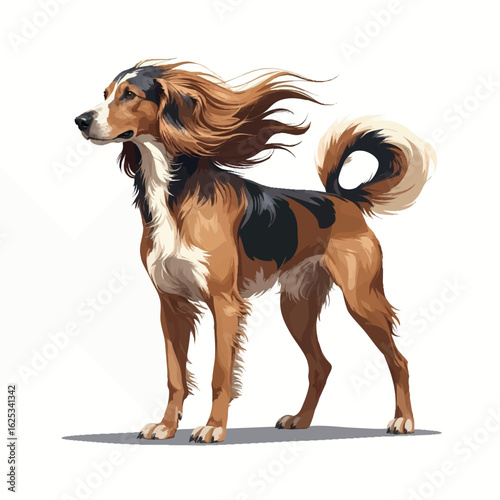 Isometric vector afghan hound with flowing hair, graceful standing pose, vector-friendly, isolated on white