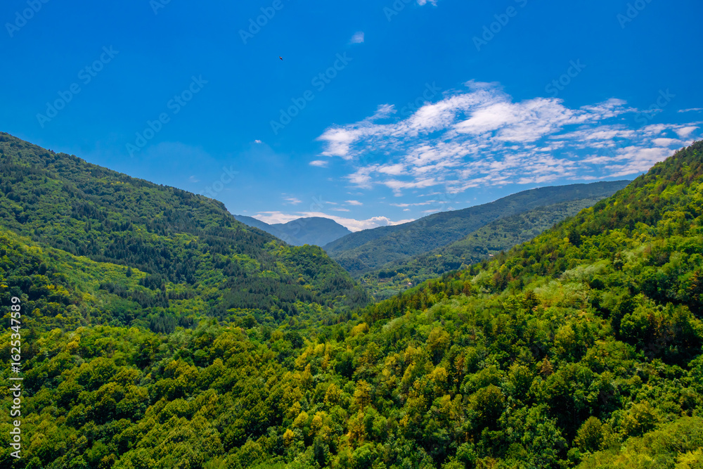 Obraz premium Vast mountain valley covered in lush green forest under a sunny blue sky