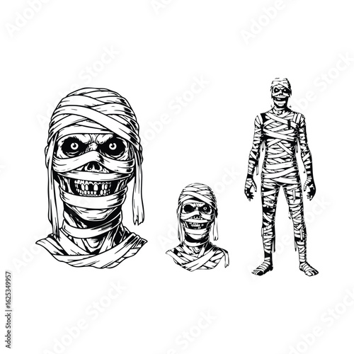 Bandaged mummy head and full body illustration halloween horror