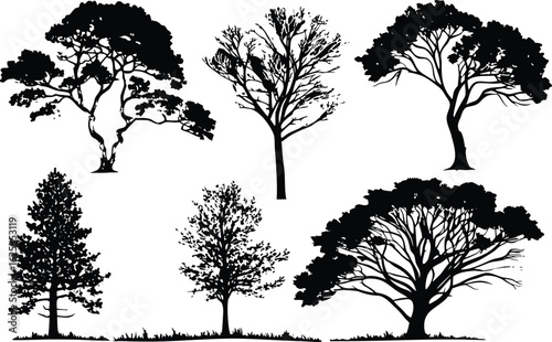 "Tree Silhouette Vector Collection – High-Resolution Black Tree Icons Set"