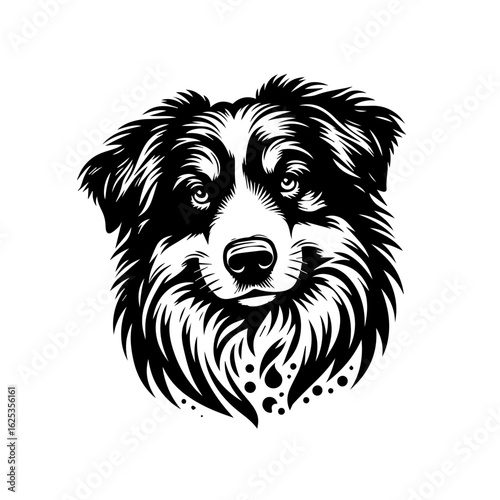 Stylized Black and White Australian Shepherd Dog Portrait.