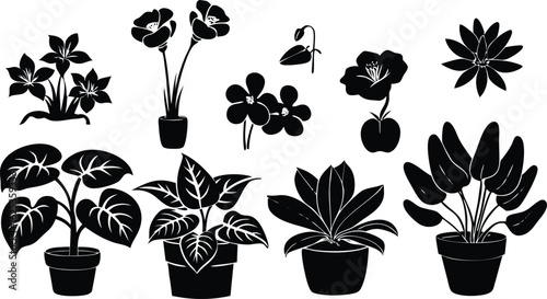 black and white illustration showcasing various potted houseplants and flowering plants in a stylized, silhouetted design